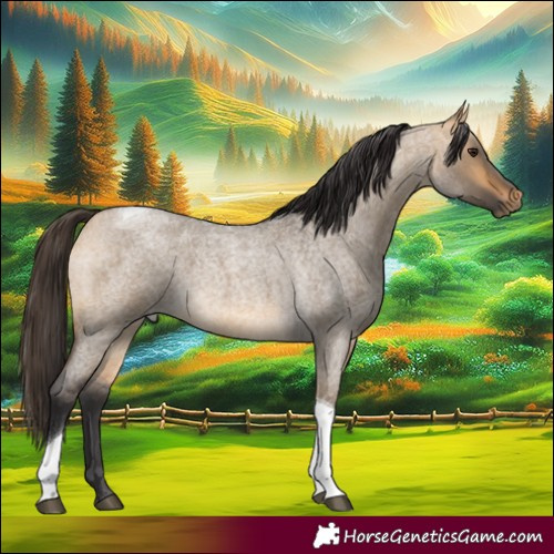 Horse Color:Buckskin Roan Dun Tobiano Rabicano 