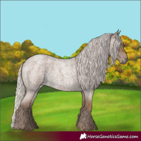 Horse Color:Silver Blue Roan