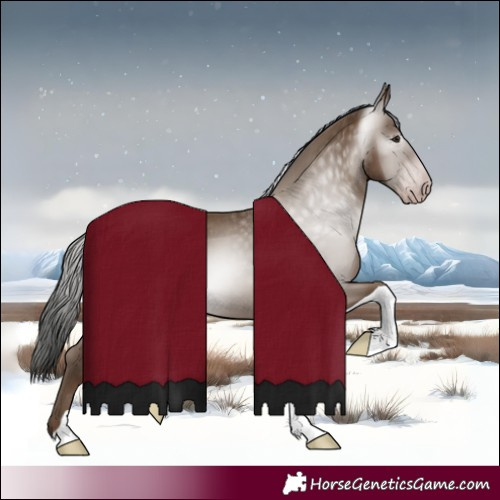 Horse Color:Gray Classic Champagne Tobiano