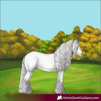 Horse Color:Gray White Spotted Silver Amber Champagne Splash Frame Near Fewspot Rabicano