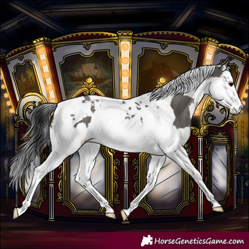 Horse Color:Grullo Splash Tobiano