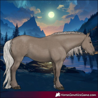 Horse Color:Silver Grullo 