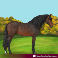 Horse Color:Brown 