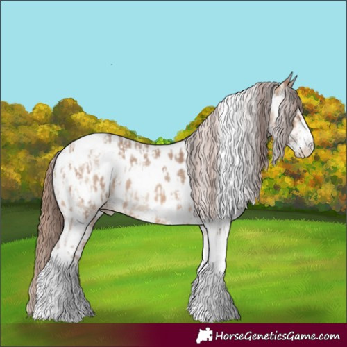 Horse Color:Amber Champagne Sabino Tobiano Appaloosa  and Amber Champagne Dun Sabino Tobiano Appaloosa 