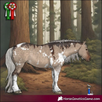 Horse Color:White Spotted Silver Brown Dun Tobiano Rabicano