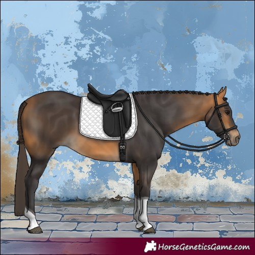 Horse Color:Buckskin Tobiano 