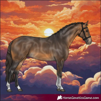 Horse Color:Buckskin Tobiano