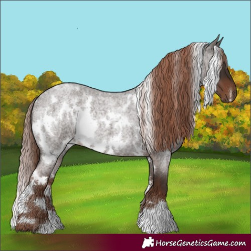 Horse Color:White Spotted Liver Red Roan 