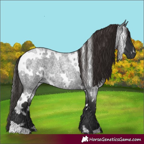 Horse Color:White Spotted Liver Red Roan 