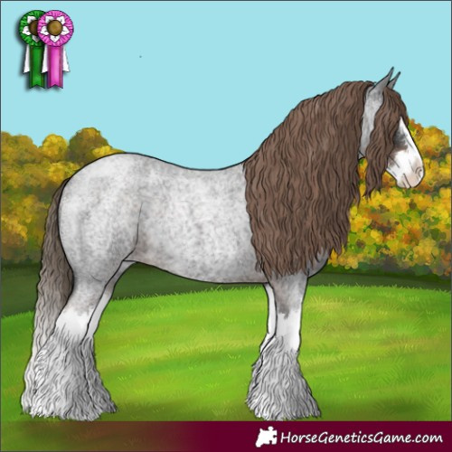 Horse Color:Liver Red Roan Splash