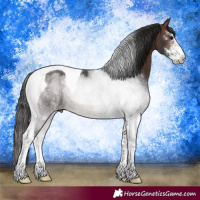 Horse Color:Brown Sabino Tobiano