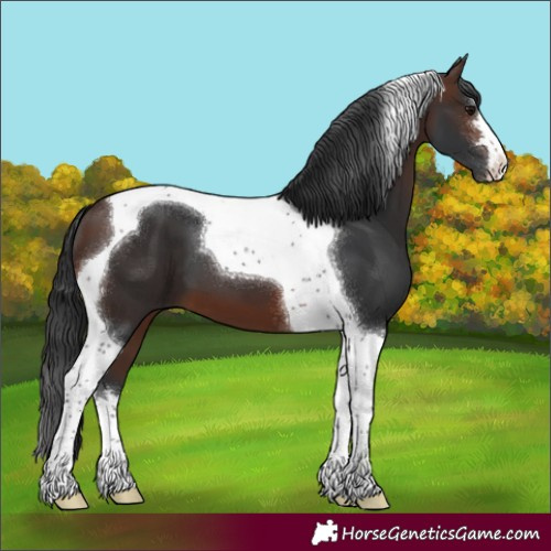 Horse Color:Brown Tobiano 