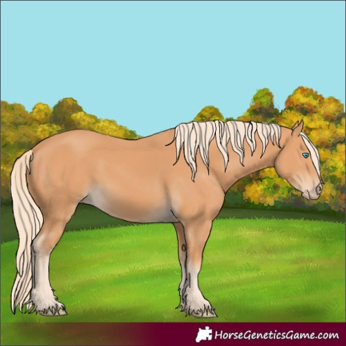 Horse Color:Gray Cremello 