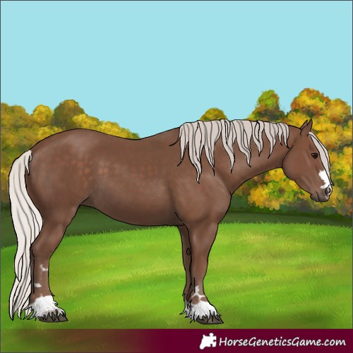 Horse Color:Silver Black 