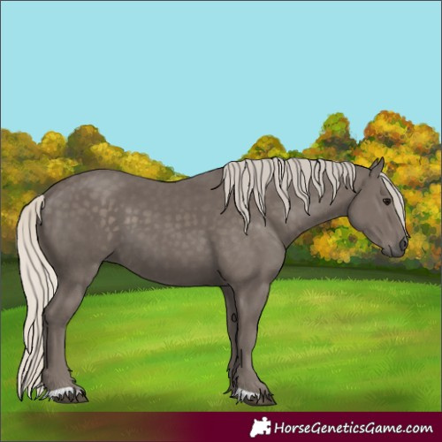 Horse Color:Silver Smoky Black 