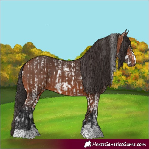 Horse Color:Brown Sabino  and Bay 