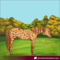 Horse Color:Red Dun