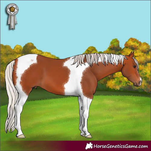 Horse Color:Silver Bay Tobiano 