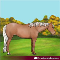 Horse Color:Silver Brown Pearl