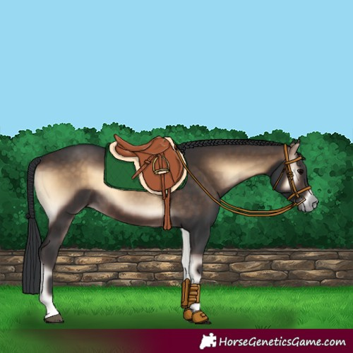 Horse Color:Brown Onyx 