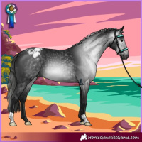 Horse Color:Gray Brown Varnish