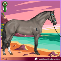 Horse Color:Grullo Sabino