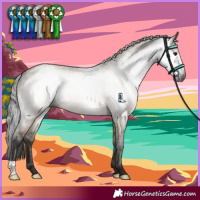 Horse Color:Gray Brown Dun 