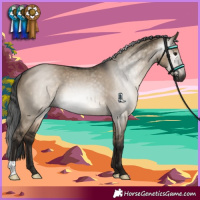 Horse Color:Gray Brown Dun