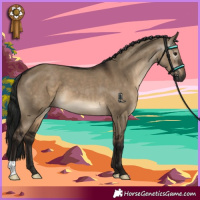 Horse Color:Gray Brown Dun 