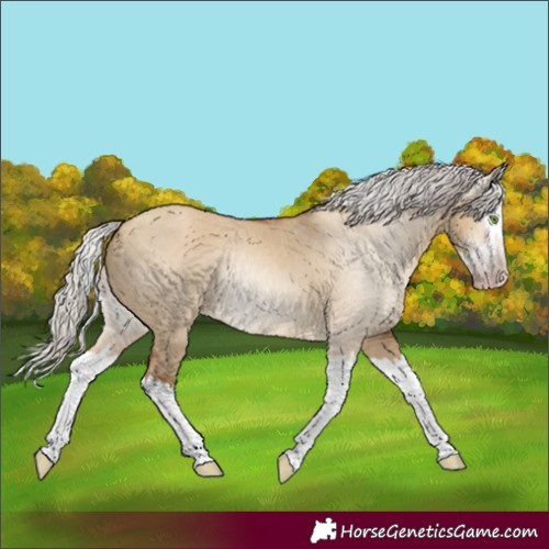 Horse Color:Gray Silver Amber Champagne Dun Splash 
