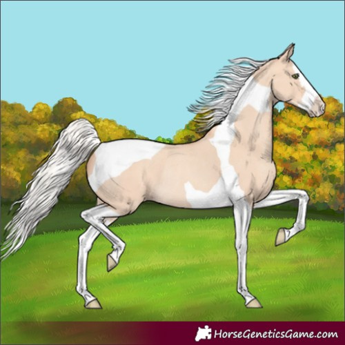 Horse Color:Silver Classic Champagne Dun Splash Tobiano Rabicano 