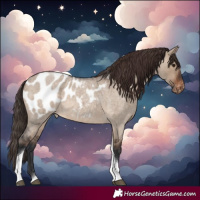 Horse Color:Brown Roan Dun Tobiano Blanket 