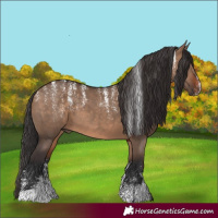 Horse Color:Powder White Brown Dun 