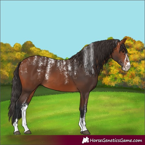 Horse Color:Powder White Bay