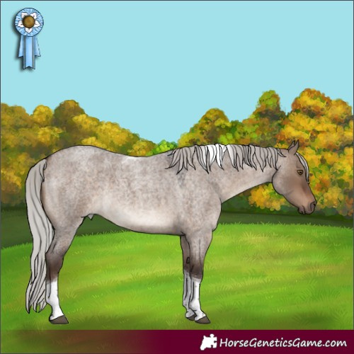 Horse Color:Silver Brown Roan Dun Tobiano