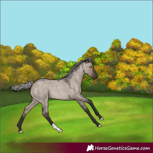 Horse Color:Silver Brown Roan Dun 