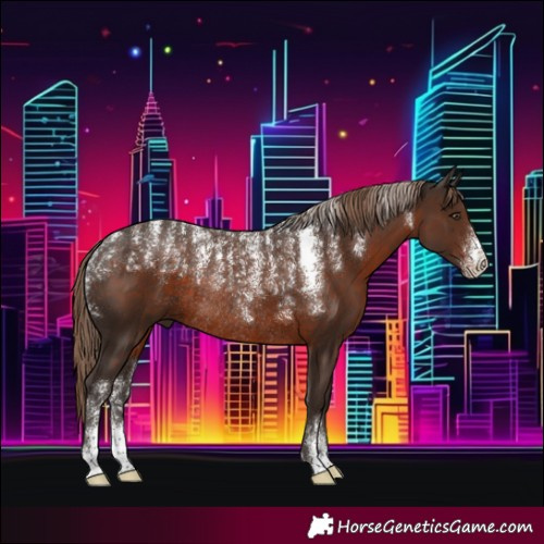 Horse Color:Powder White Liver Chestnut Rabicano 