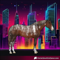 Horse Color:Powder White Liver Chestnut Rabicano 
