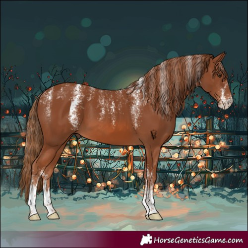 Horse Color:Powder White Chestnut 
