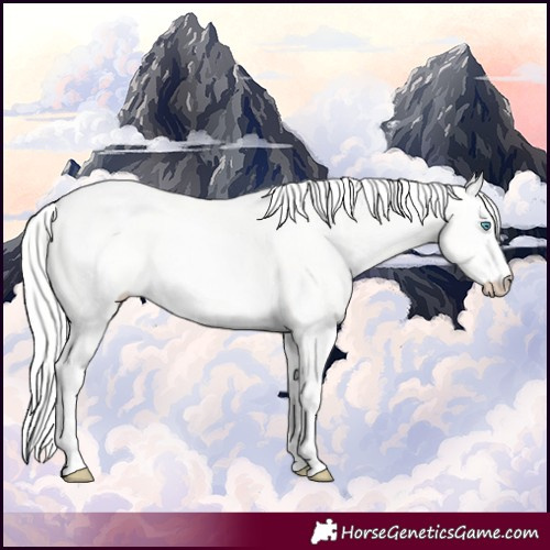Horse Color:Cremello Dun 