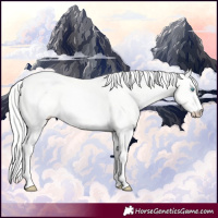 Horse Color:Cremello Dun 