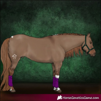 Horse Color:Liver Red Dun Tobiano 