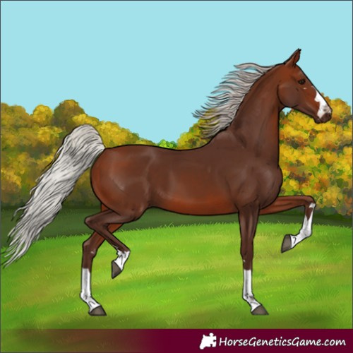 Horse Color:Silver Brown 