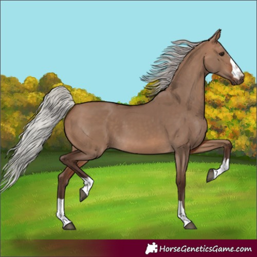 Horse Color:Silver Brown Dun 