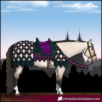 Horse Color:Bay Roan Dun Tobiano