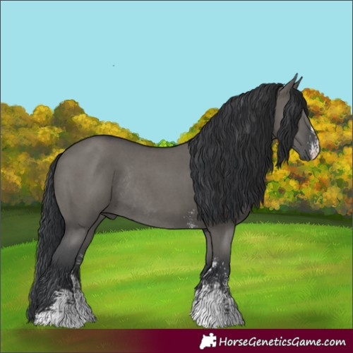 Horse Color:Grullo Sabino Rabicano 