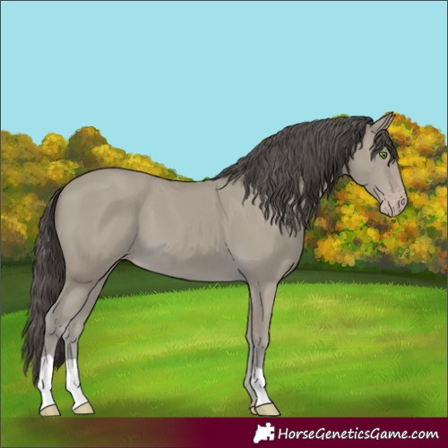 Horse Color:Classic Cream Champagne