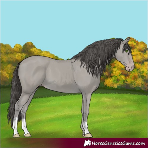 Horse Color:Classic Cream Champagne 