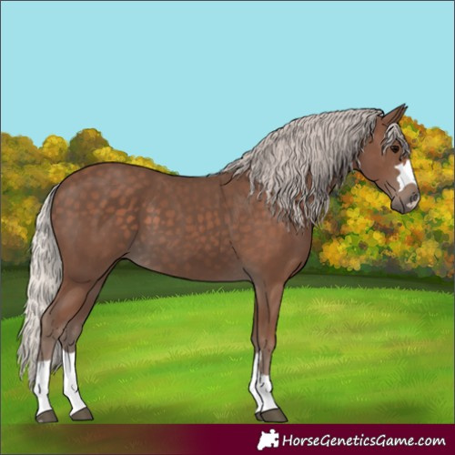 Horse Color:Silver Black 