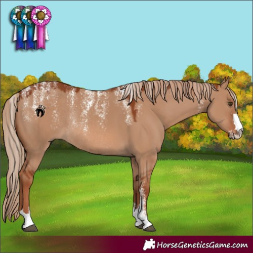 Horse Color:Powder White Red Dun Rabicano